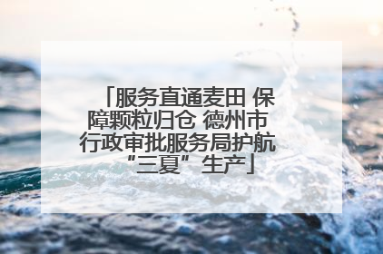 服务直通麦田 保障颗粒归仓 德州市行政审批服务局护航“三夏”生产